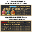 【みんカラ大賞受賞】ランドクルーザー70 バグガード GDJ76 ランクル76 再再販 EGR オーストラリア製