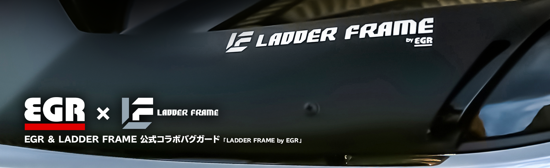 banner6-EGRxLADDERFRAME_1800x.