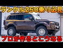 【ガラス開閉タイプ】ランクル250 リアラダー ハーフタイプ LANDCRUISER250