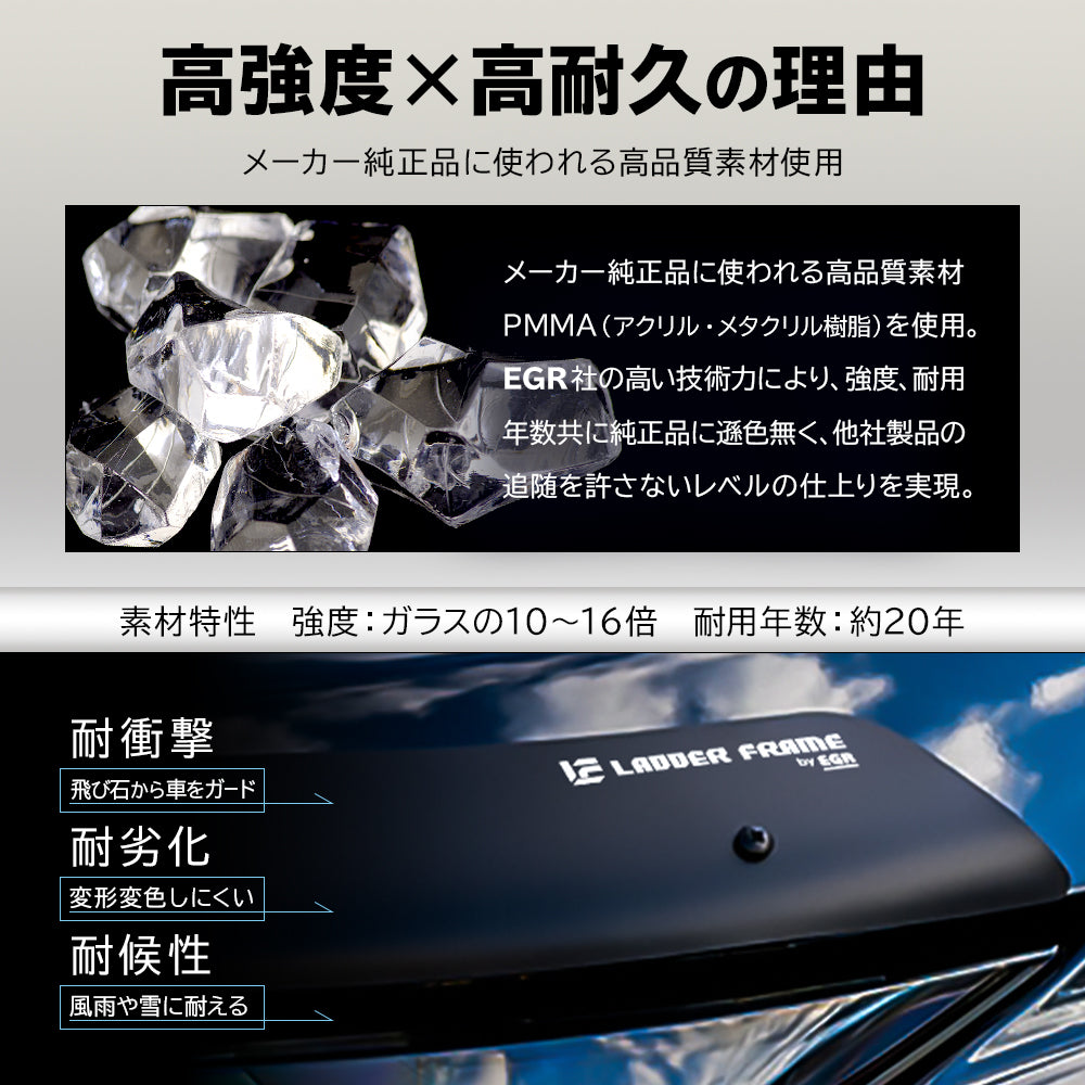 みんカラ大賞受賞】トライトン バグガード 艶消し黒 LC2T 三菱 TRITON