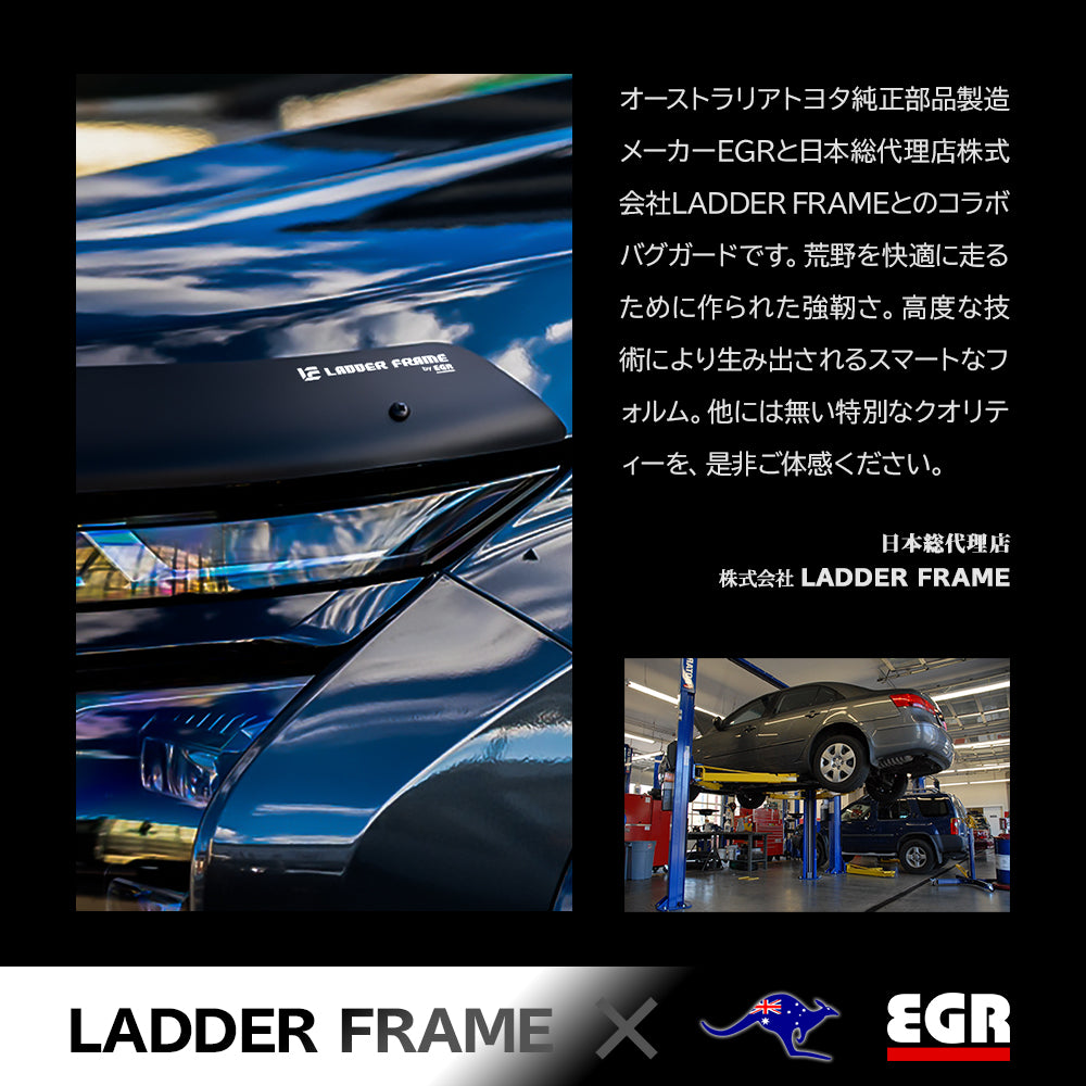 みんカラ大賞受賞】トライトン バグガード 艶消し黒 LC2T 三菱 TRITON